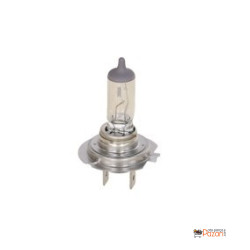 Ampul 12v 55w 2014-2019